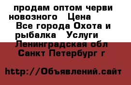 продам оптом черви новозного › Цена ­ 600 - Все города Охота и рыбалка » Услуги   . Ленинградская обл.,Санкт-Петербург г.